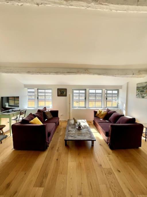 Le Loft Verdun Exposition Sud Emplacement 80M2 Carcassonne Zewnętrze zdjęcie